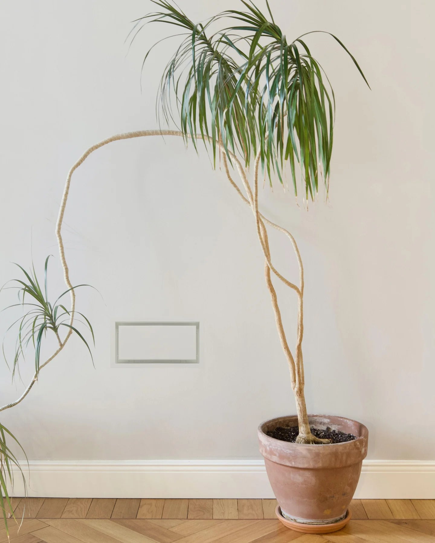 Framed Wall Luxe (Pro)